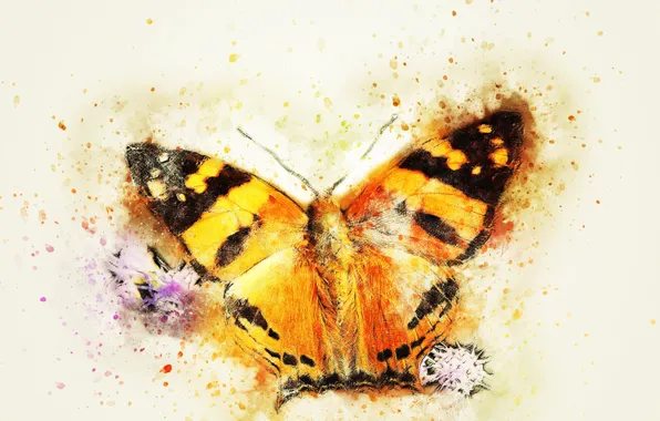 Picture macro, background, butterfly, stylized painting