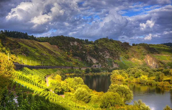 Forest, the sky, bridge, river, Germany, tunnel, Pünderich