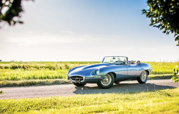 Car, Jaguar, convertible, sportcar, classic, road, classic, roadster