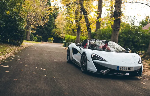 McLaren, supercar, Spider, 570S, Muriwai White