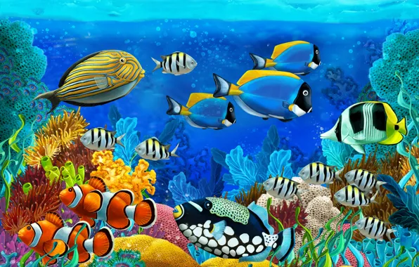 Picture sea, fish, corals, the bottom of the sea