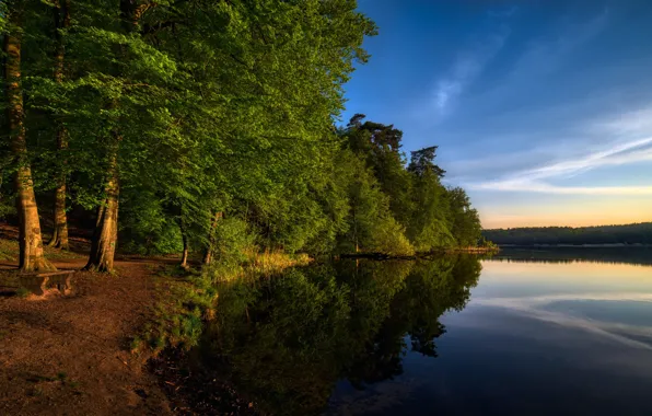 Summer, lake, Park, bench