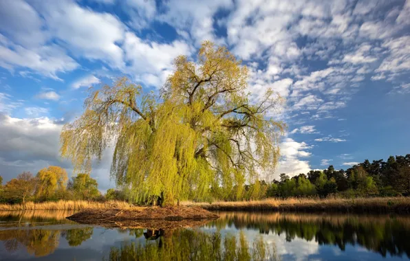 The sky, landscape, nature, lake, beauty, IVA