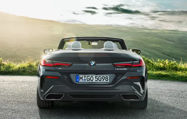 BMW, convertible, rear view, 2018, Cabrio, 8-Series, M850i, XDrive