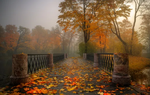 Autumn, leaves, trees, bridge, nature, fog, Park, Gordeev Edward