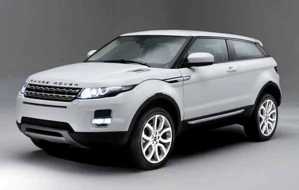 Background, Land Rover, Range Rover, Evoque, Ewok, land Rover, range Rover