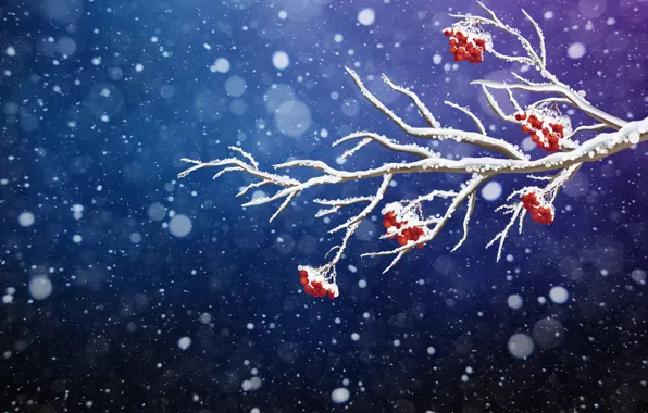 Winter, Minimalism, Snow, Branch, Christmas, Snowflakes, Background, New year