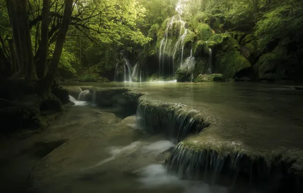 Picture forest, water, light, trees, nature, river, stones, waterfalls