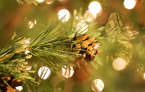 Macro, light, needles, branches, lights, glare, lights, branch