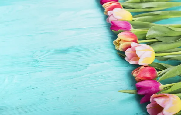 Flowers, colorful, tulips, pink, wood, pink, flowers, tulips