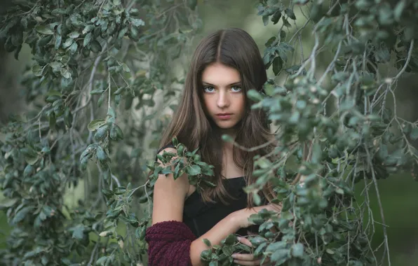 Greens, look, leaves, girl, branches, nature, face, pose