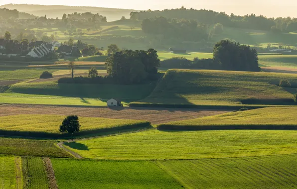 Picture trees, landscape, field, Germany, valley