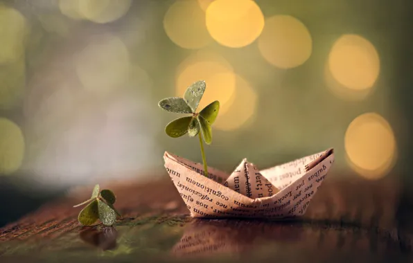 Picture leaves, macro, clover, boat, bokeh