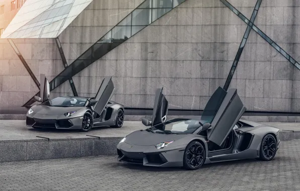 Picture Lamborghini, LP700-4, Aventador, Supercars, Gray, Dual, University of Minnesota