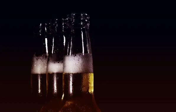 Beer, beauty, bottle