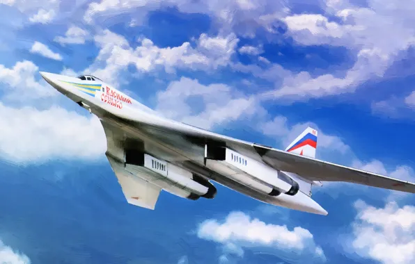 Figure, Swan, The plane, USSR, Russia, Aviation, BBC, Bomber