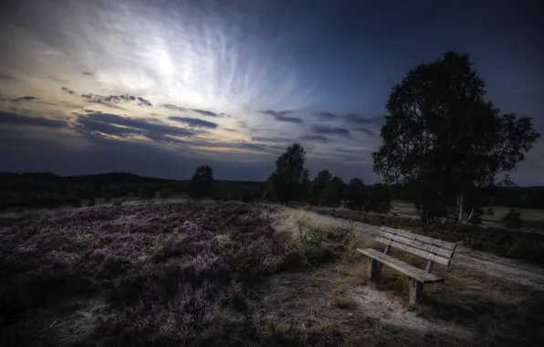 Summer, the evening, bench