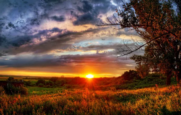 Picture the sky, grass, clouds, rays, light, sunset, nature