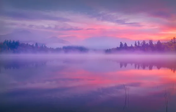 Picture mountains, fog, lake, reflection, dawn, morning, the state of new York, Adirondack Park