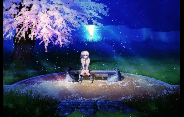 Wallpaper grass, bench, night, river, petals, Sakura, flowering, angel beats