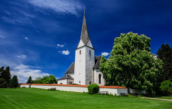 Picture trees, Germany, Bayern, meadow, Church, Germany, chestnut, Bavaria