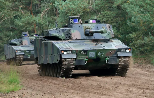 Picture road, machine, forest, combat, infantry, CV9035NL