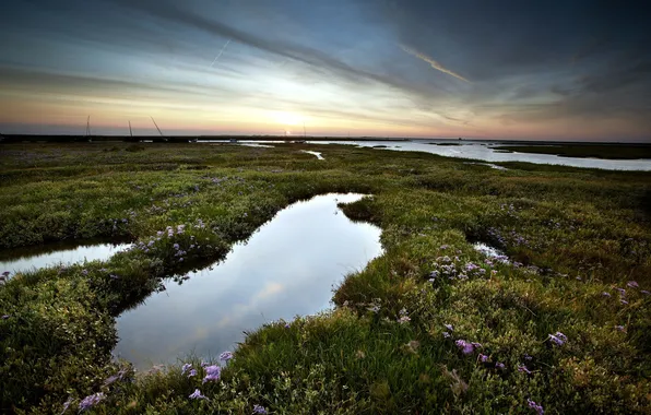 Field, the sky, landscape, night, nature