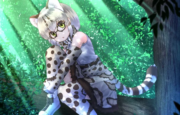 Forest, art, girl, kemono friends