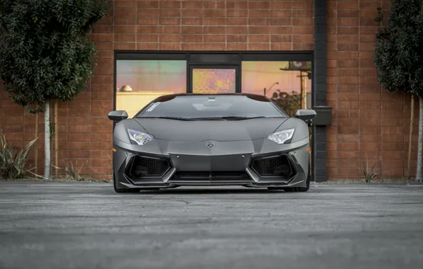 Lamborghini, Front, Aventador, Face, LP 700-4, VAG, Graphite