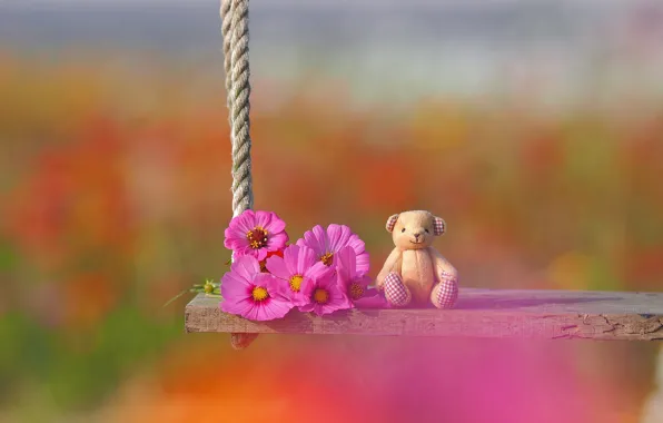 Flowers, swing, mood, toy, bear, bokeh, kosmeya, Teddy bear