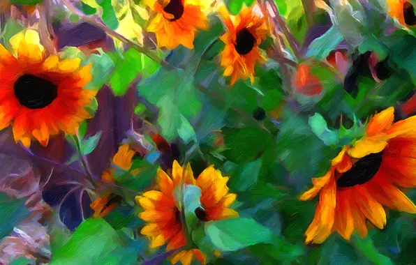 Leaves, line, nature, rendering, paint, sunflower, petals