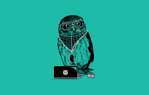 Picture owl, beak, mouse, glasses, laptop