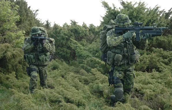 Picture forest, grass, weapons, soldiers, unit, Denmark, special
