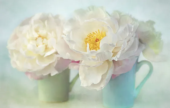 Picture flowers, background, two, bouquet, art, mug, Cup, white
