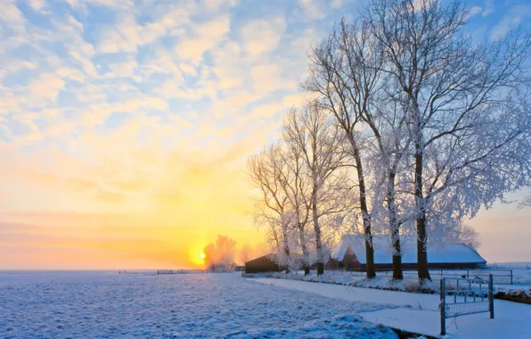 Winter, frost, field, forest, the sky, the sun, clouds, rays