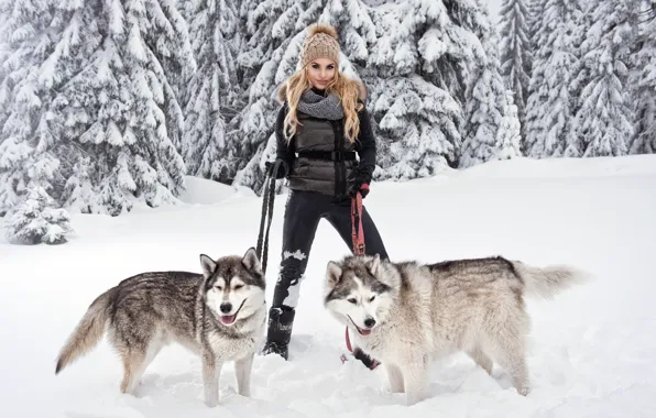 Dogs, girl, snow, pose, blonde, husky, breed