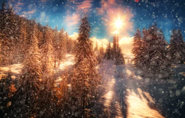 Picture forest, the sun, snow, trees, treatment, Fire and Ice