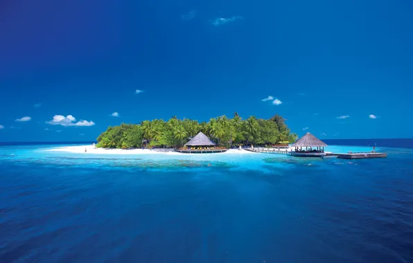 Picture palm trees, island, The ocean, pierce, Bungalow, reef