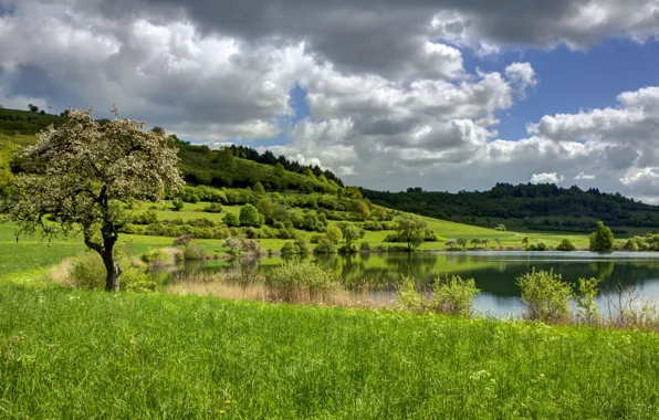 Grass, clouds, landscape, nature, Germany, Ellscheid