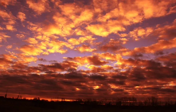 Wallpaper sky, sunset, cloud images for desktop, section природа - download