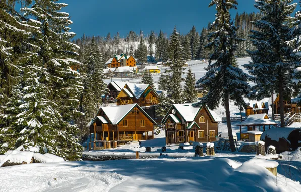 Winter, forest, the sun, snow, trees, home, ate, Ukraine