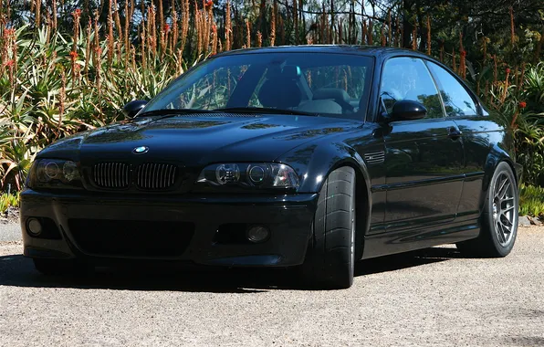 Flowers, black, bmw, BMW, black, front view, e46, sports coupe