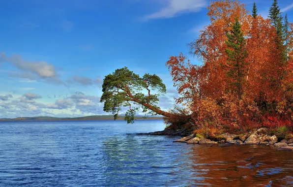 Autumn, leaves, trees, mountains, nature, lake, hills, horizon