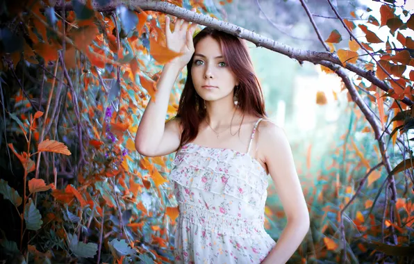 FOREST, NATURE, LEAVES, BROWN hair, BRANCH