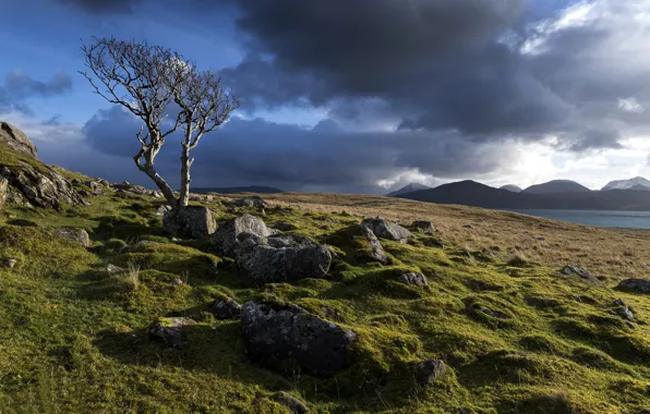 The sky, clouds, trees, stones
