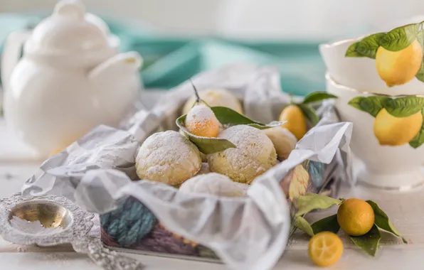 Box, lemon, cookies, citrus, Lemon, Karina Klachuk