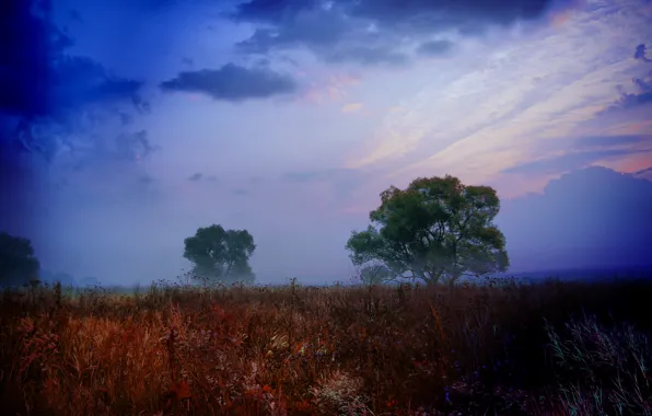 Landscape, nature, view