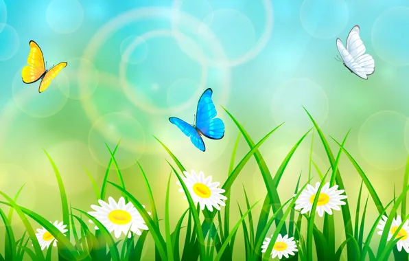 Summer, grass, butterfly
