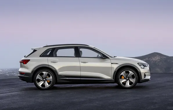 Grey, Audi, profile, E-Tron, 2019