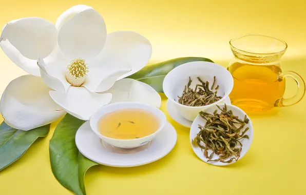 Flower, yellow, bowl, Tea